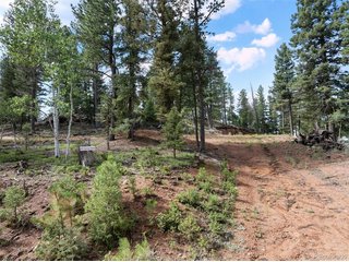 422 Spring Valley Dr Divide, CO 80814