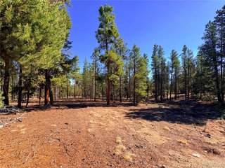 399 Lodgepole Dr Leadville, CO 80461