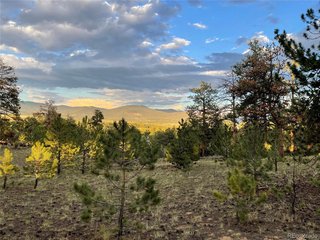 364 Muir Woods Trl Hartsel, CO 80449
