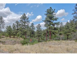 11011 Sunset Oaks Pl Franktown, CO 80116