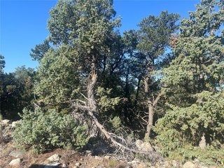 3587 Alfresco Way Crestone, CO 81131