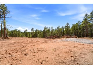205 Sourdough Rd Woodland Park, CO 80863