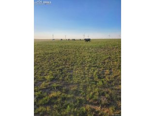 169 County Road Matheson, CO 80830