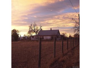 12380 York St Thornton, CO 80241