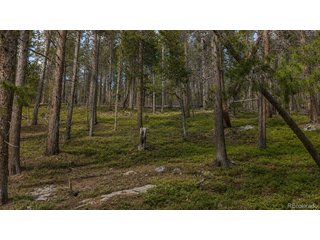 0 Steuart Road Idaho Springs, CO 80452