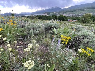 371 Z Rd Silverthorne, CO 80498
