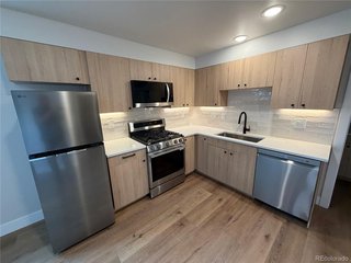 309 Grand Review Dr 303 Leadville, CO 80461