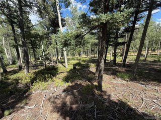 167 Big Bear Rd Manitou Springs, CO 80829