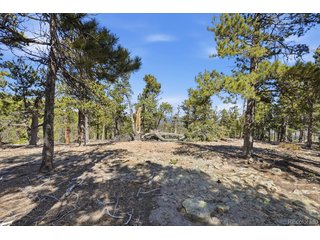 33149 Janelle Cir Golden, CO 80403