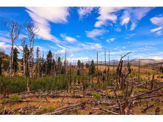 768 Shepard Pl Fort Garland, CO 81133