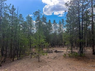 569 Birch Dr Leadville, CO 80461