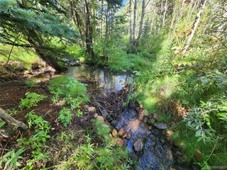 531 Caribou Rd Nederland, CO 80466