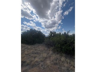 558 Mount Shavano Colorado City, CO 81019