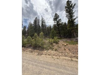 2689 Redhill Rd Fairplay, CO 80440