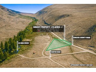 2 Canyon Road Capulin, CO 81124
