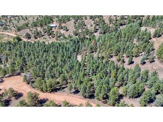 105 Carlton Cir Florissant, CO 80816
