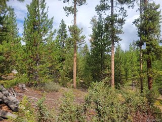 65 Grand County Road 6621 Grand Lake, CO 80447