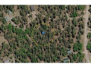 203 Spruce Rd Cimarron, CO 81220