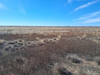 (TBD) No Site Address Avondale, CO 81022