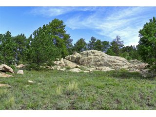 32 Peak Dr Guffey, CO 80820