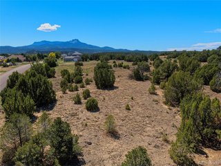 7 Tyson Ct Trinidad, CO 81082