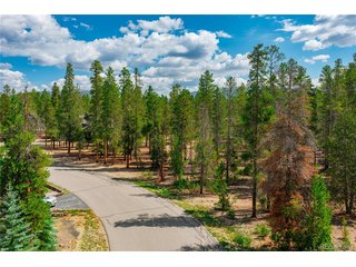589 Augusta Dr Leadville, CO 80461