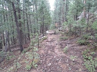 360 Hi Meadow Dr Bailey, CO 80421