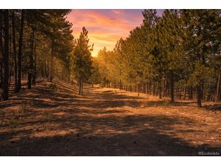 (TBD) Wood Sorrel Rd Larkspur, CO 80118