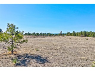 9409 Sky Meadow Pt Franktown, CO 80116