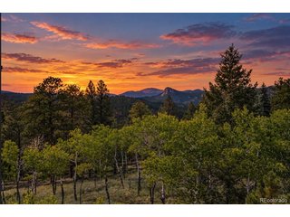 45336 S Elk Creek Rd Pine, CO 80470