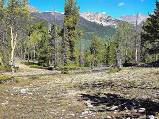 840 Forest Service Road 890 White Pine, CO 81248