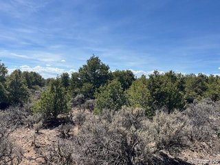 (TBD) Garland Trail, Parcel 13 San Luis, CO 81152