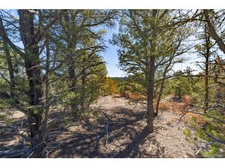 29870 County Rd 16 Trinidad, CO 81082