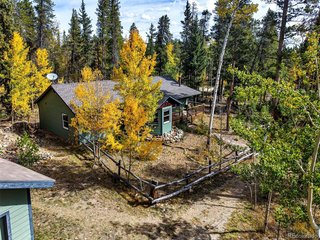 37 Briscoe Ct Alma, CO 80420