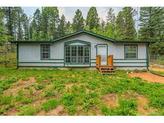 22 Silver Trl Florissant, CO 80816