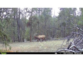 (TBD) Ten High Ln Alma, CO 80420