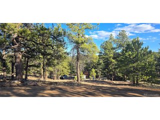 595 Mustang Trl Florissant, CO 80816