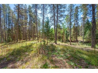 1 Lot 12 Indian Springs Rd Conifer, CO 80433