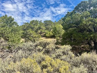 1374 Carter Rd Fort Garland, CO 81133