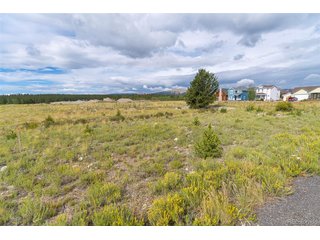 1 Platte Dr Fairplay, CO 80440