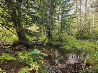 531 Caribou Rd Nederland, CO 80466