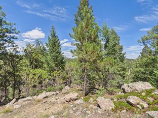 (TBD) N Turkey Creek Rd Morrison, CO 80465