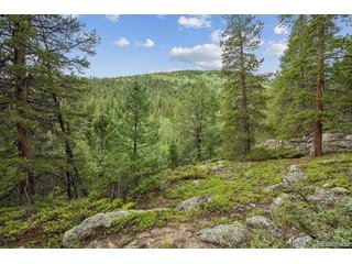 1 Fall River Rd Idaho Springs, CO 80452