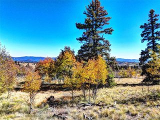 74 Antelope Cir Como, CO 80456