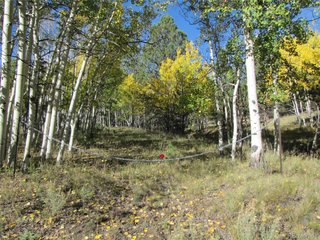700 Campfire Rd Hartsel, CO 80449