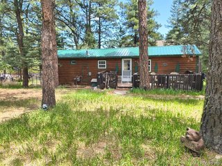 10594 Charles Ln Rye, CO 81069
