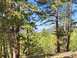 0 Molly Dr Conifer, CO 80433