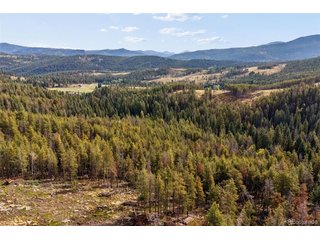 8570 S Warhawk Rd Conifer, CO 80433
