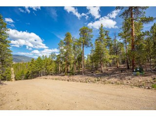198 Lodgepole Dr Twin Lakes, CO 81251