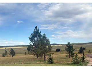 18833 Cherry Springs Ranch Dr Monument, CO 80132